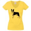 Lady-fit Valueweight V-Neck T-Shirt Thumbnail